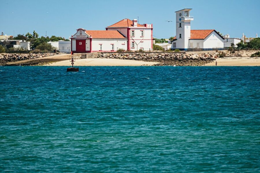 Faro: Deserta Island and Farol Island Catamaran Boat Trip - Birdwatching through the protected channels