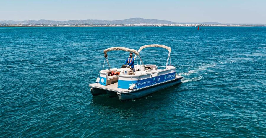 Faro: Deserta Island and Farol Island Catamaran Boat Trip - Who should book this Faro boat trip?