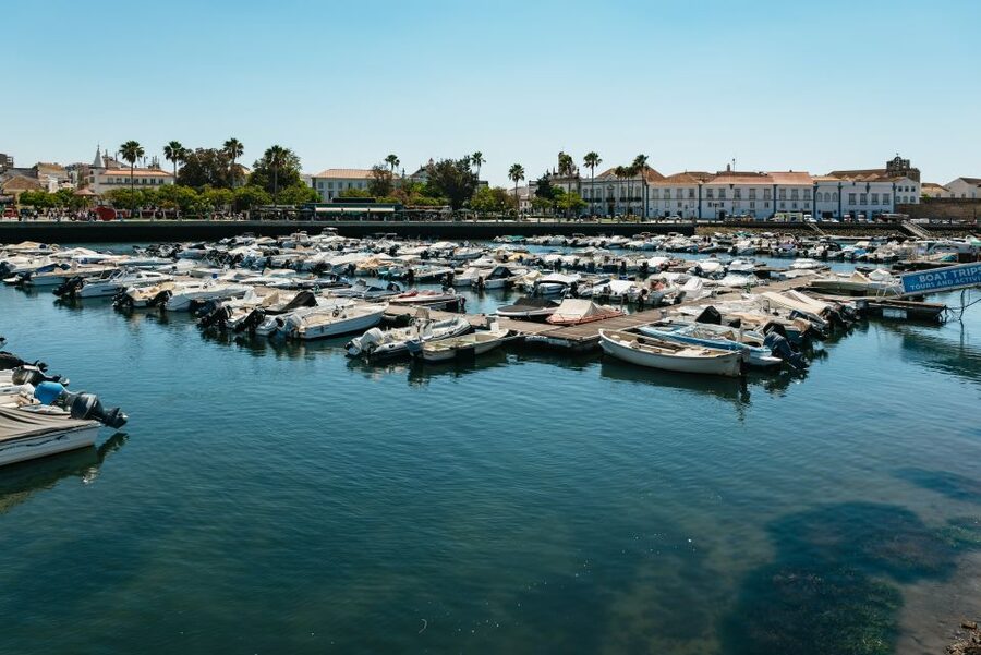 Faro: Deserta Island and Farol Island Catamaran Boat Trip - Farol Island and the Culatra Lighthouse area