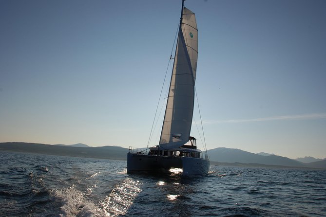 Fishing Trip with Luxury Catamaran in Tromso - Why the fish lunch is the real payoff