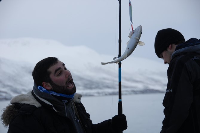 Fishing Trip with Luxury Catamaran in Tromso - The views from the water