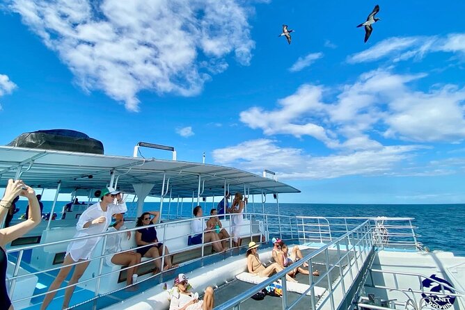 Flamingo Family Fun Catamaran Snorkel:Comfortable shaded seating - What the 2 p.m. Departure Gets Right