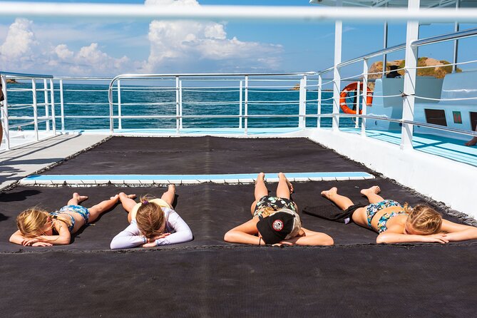 Flamingo Family Fun Catamaran Snorkel:Comfortable shaded seating - Wildlife Sightings Are a Bonus, Not a Guarantee