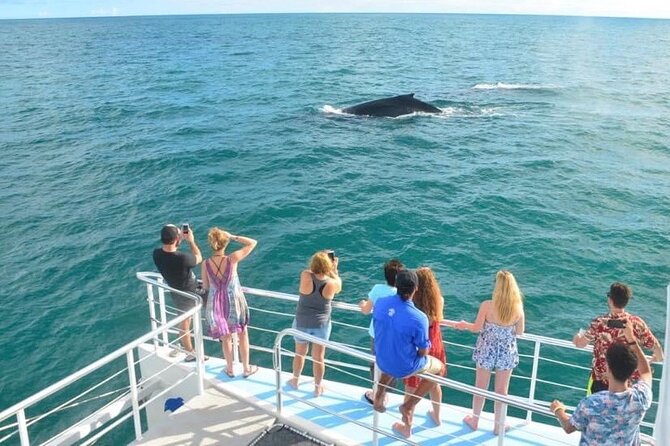 Flamingo Family Fun Catamaran Snorkel:Comfortable shaded seating - Snorkeling: Good for Beginners, Not the Main Event