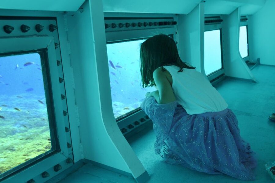 Font de Sa Cala: East Coast Glass-Bottomed Catamaran Tour - What the glass bottom is really like