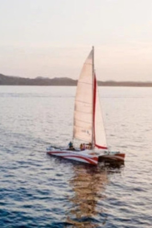 Fornells: Catamaran Sunset Cruise of Menorca's Coast - Swimming and snorkeling in warm water
