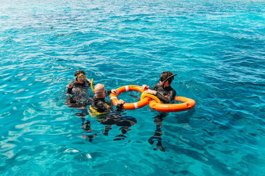 From Cairns: Great Barrier Reef Cruise by Premium Catamaran - Quick facts before you book