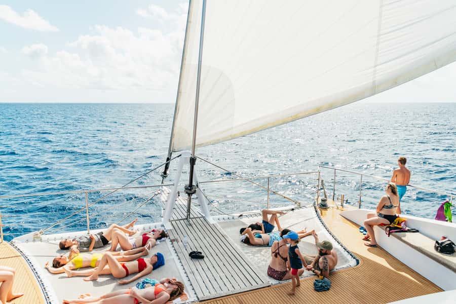 From Cairns: Great Barrier Reef Cruise by Premium Catamaran - The first two-hour crossing and reef briefing
