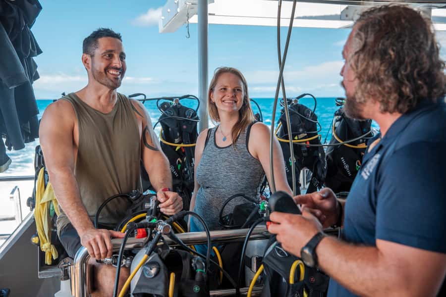 From Cairns: Great Barrier Reef Cruise by Premium Catamaran - The second reef session and marine life