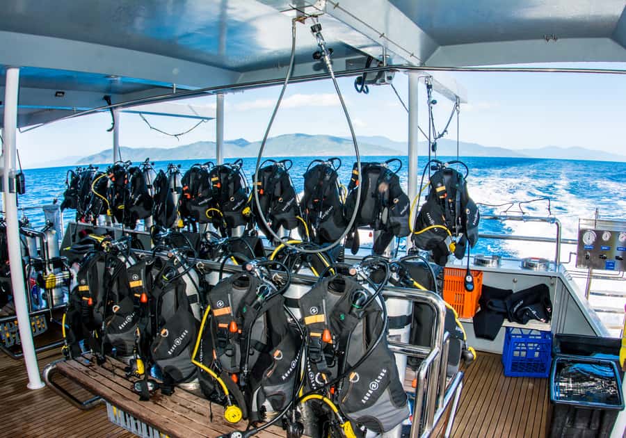 From Cairns: Great Barrier Reef Cruise by Premium Catamaran - Comfort, safety, and group size