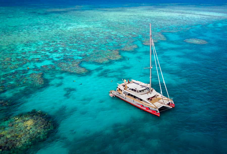 From Cairns: Great Barrier Reef Cruise by Premium Catamaran - Why the two reef stops matter