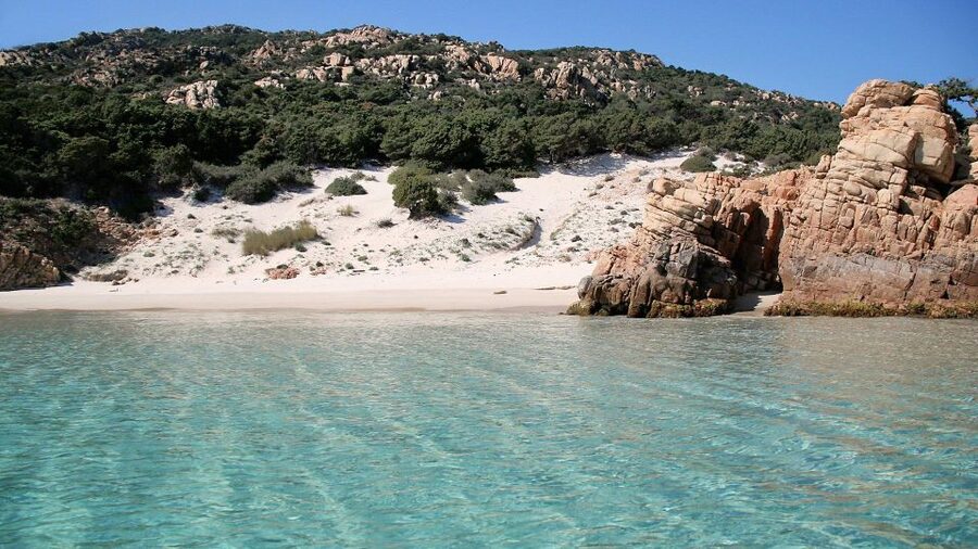 From Cannigione: Catamaran tour in La Maddalena Archipelago - Key points to know before booking