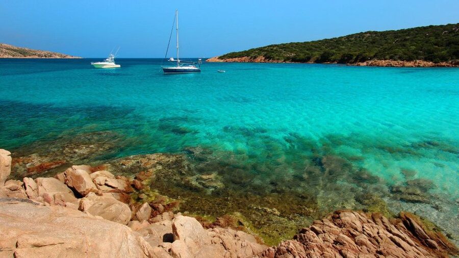 From Cannigione: Catamaran tour in La Maddalena Archipelago - Swimming, snorkeling and tender rides