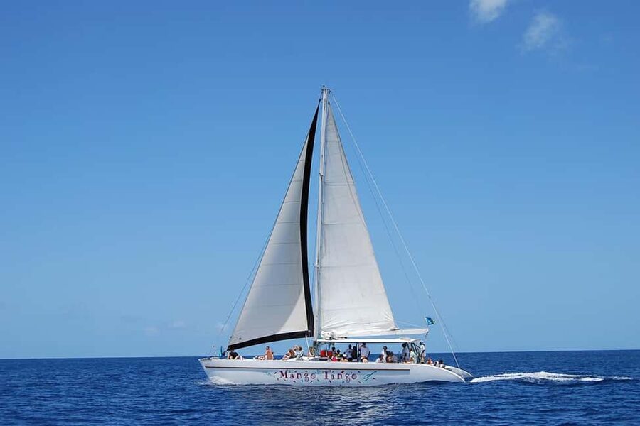 From Castries: Full-Day Catamaran Tour to Soufriere - Why this tour works as a first day in Saint Lucia