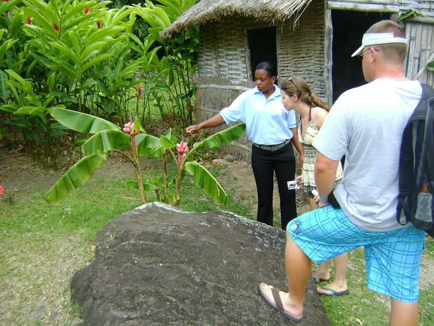 From Castries: Full-Day Catamaran Tour to Soufriere - Toraille Waterfall in a short, easy stop