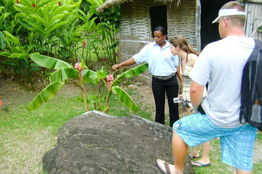From Castries: Full-Day Catamaran Tour to Soufriere - Who should book this Saint Lucia catamaran tour?