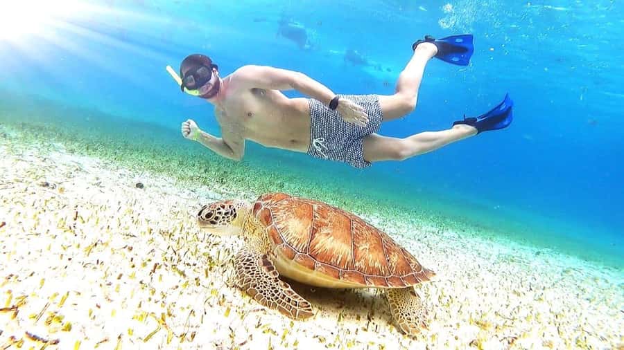 From Cozumel: El Cielo Beach by Catamaran Snorkeling Tour - Why El Cielo makes this Cozumel trip special