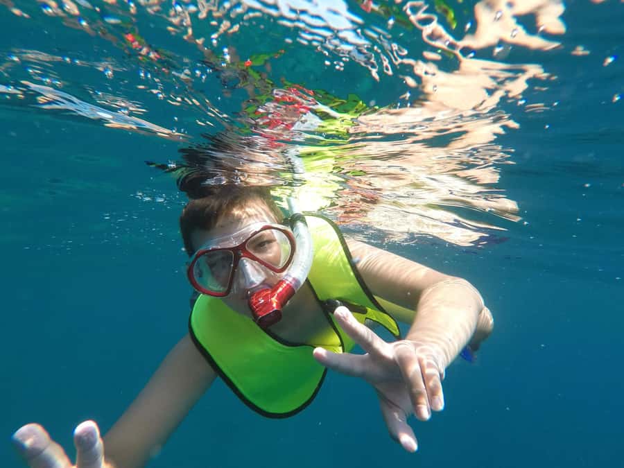 From Cozumel: El Cielo Beach by Catamaran Snorkeling Tour - What the $81 price really covers
