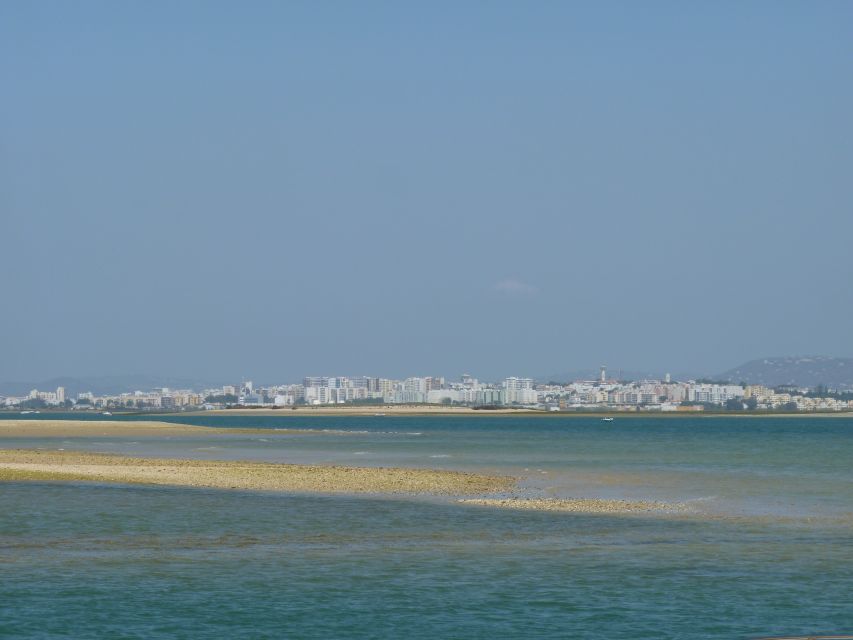 From Faro: 2-Island, 2-Stop Ria Formosa Catamaran Tour - The return through changing tidal channels