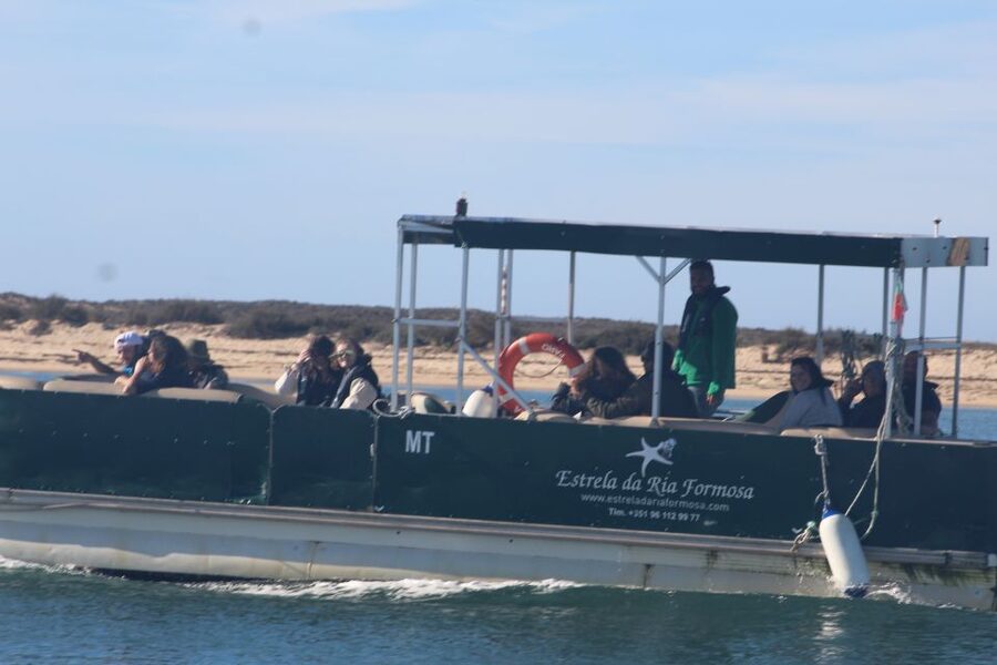 From Faro: 2-Island, 2-Stop Ria Formosa Catamaran Tour - Entering the Ria Formosa Natural Park