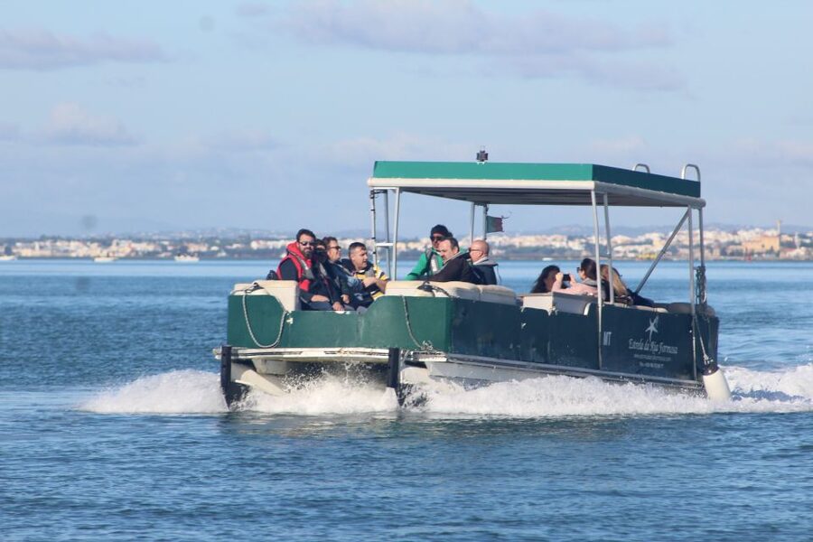 From Faro: 4 Stops, 3 Islands in Ria Formosa Catamaran Tour - What makes this Ria Formosa tour worth considering