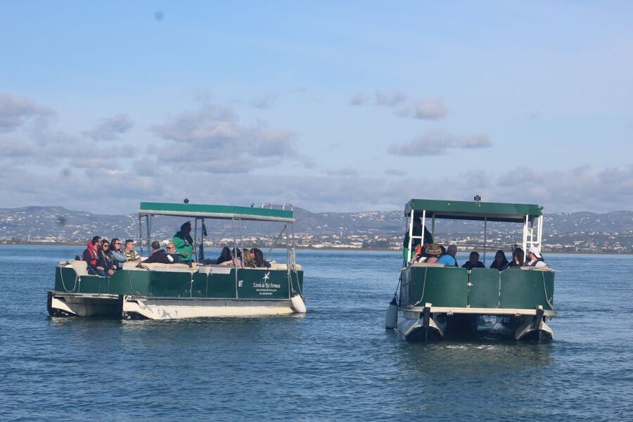 From Faro: 4 Stops, 3 Islands in Ria Formosa Catamaran Tour - Leaving Faro through the Ria Formosa channels