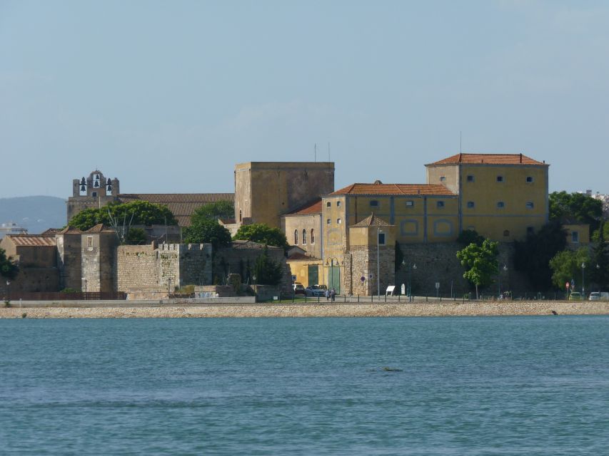 From Faro: 4 Stops, 3 Islands in Ria Formosa Catamaran Tour - Ilha do Farol: lighthouse views and Algarve homes
