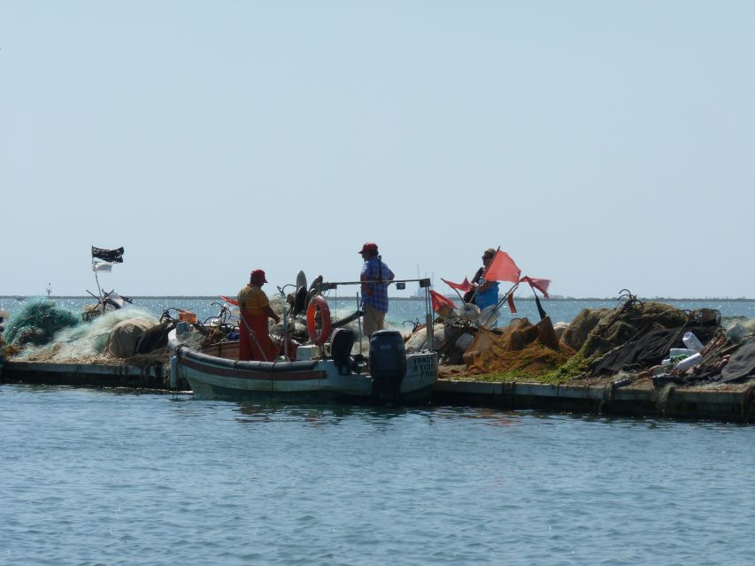 From Faro: 4 Stops, 3 Islands in Ria Formosa Catamaran Tour - Is $47 good value for five hours?