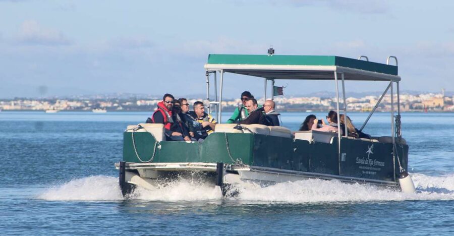 From Faro: 4 Stops, 3 Islands in Ria Formosa Catamaran Tour - Ilha Deserta: a 45-minute swim at Portugal’s southern edge