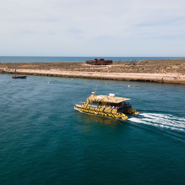 From Faro: Catamaran Boat Trip to Deserta Island with Stop - Leaving Faro from the Porta Nova pier