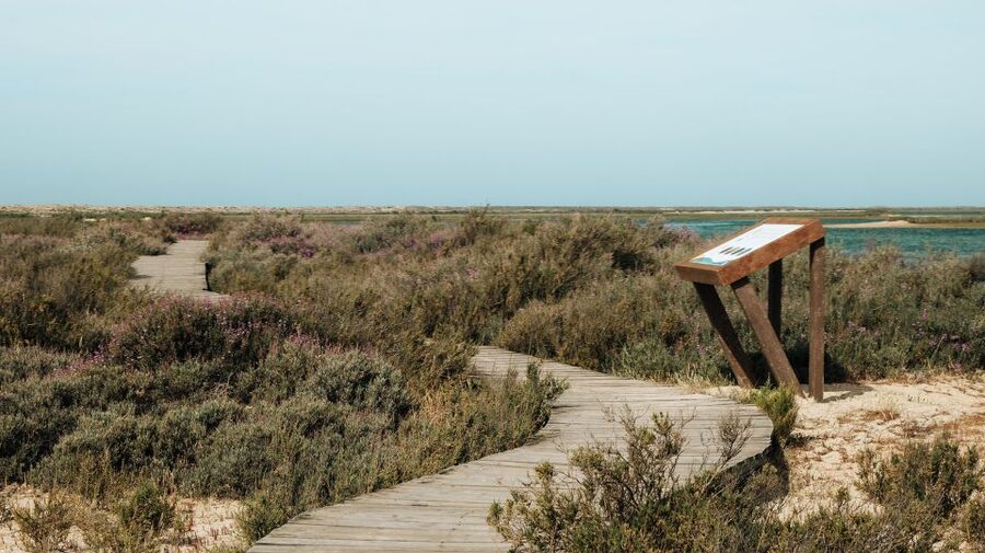 From Faro: Catamaran Boat Trip to Deserta Island with Stop - What the $11 price really buys you