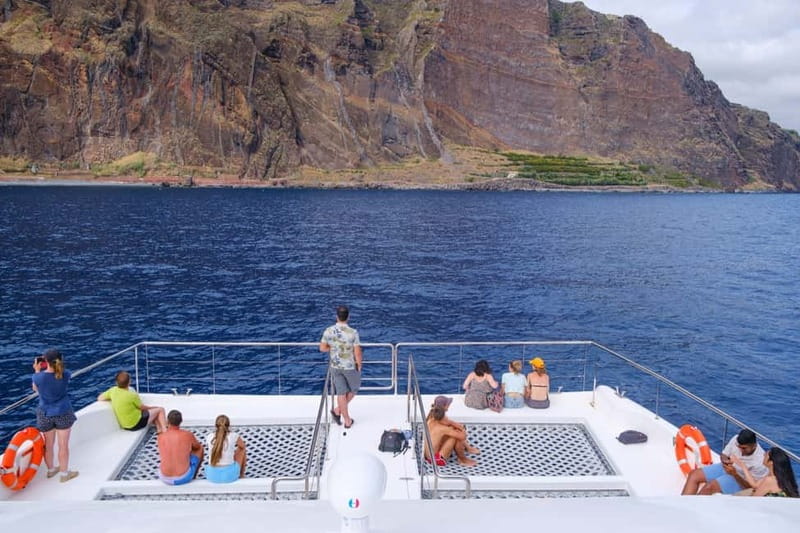 From Funchal: Ecological Catamaran Dolphin Whale Watching - A quiet boat built for watching wildlife