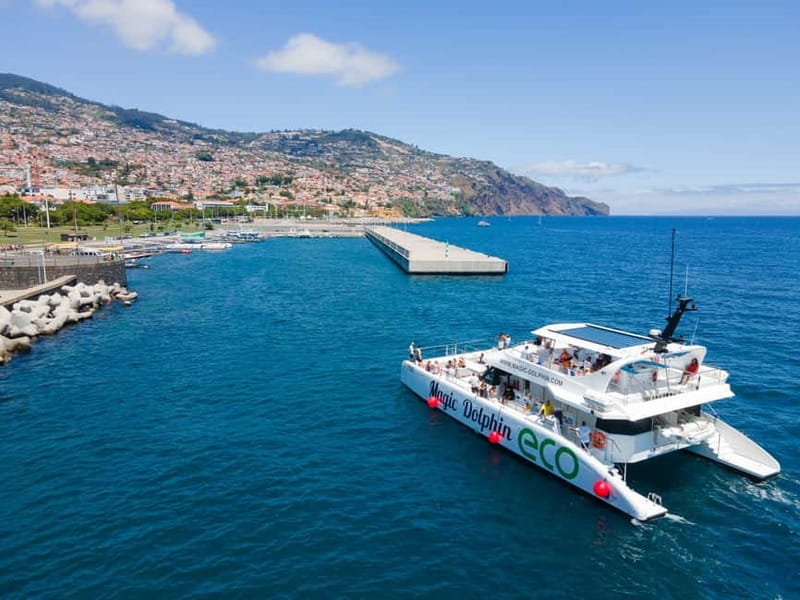 From Funchal: Ecological Catamaran Dolphin Whale Watching - The large nets and upper deck