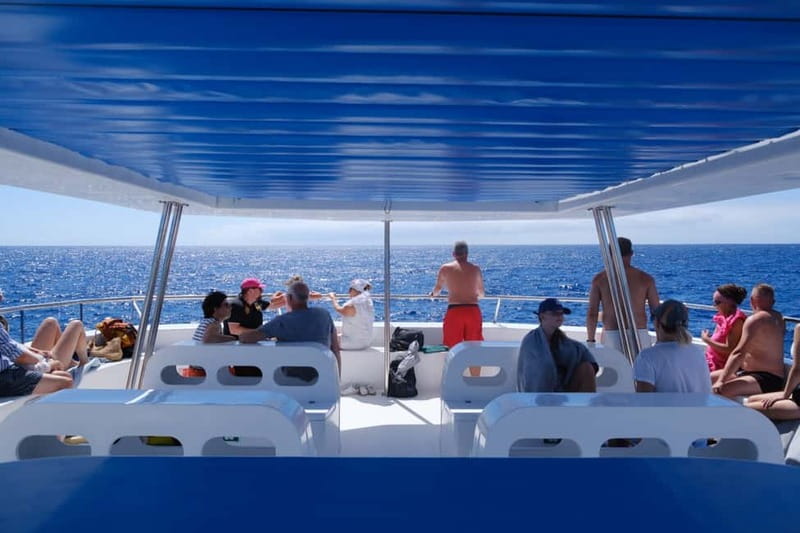 From Funchal: Ecological Catamaran Dolphin Whale Watching - Returning along Madeira’s south coast