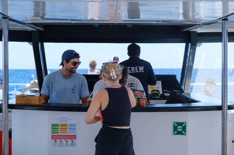 From Funchal: Ecological Catamaran Dolphin Whale Watching - Weather, comfort, and what to pack