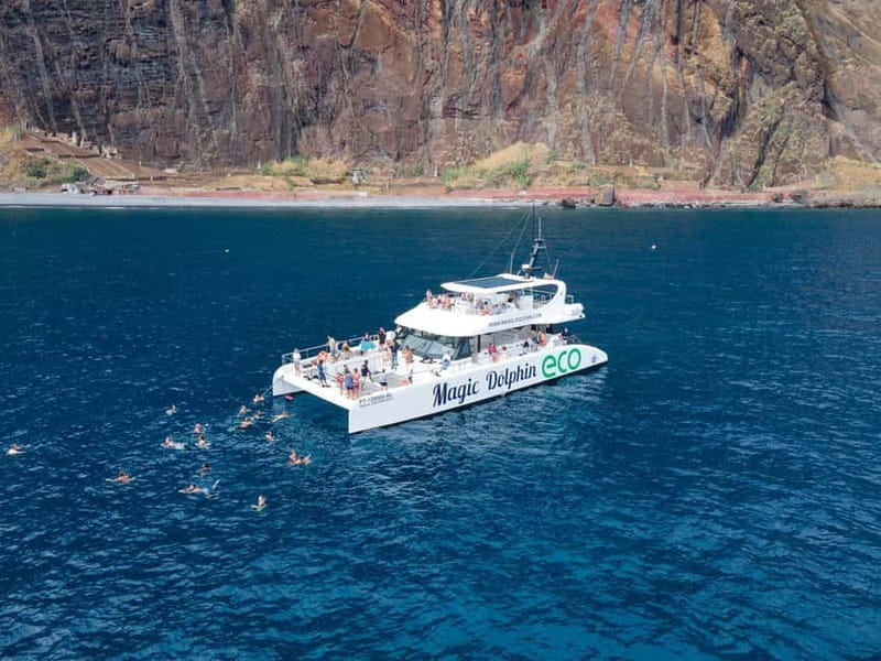 From Funchal: Ecological Catamaran Dolphin Whale Watching - Is $41 good value for three hours?