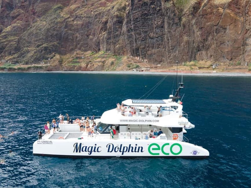 From Funchal: Ecological Catamaran Dolphin Whale Watching - Leaving Funchal for the open sea