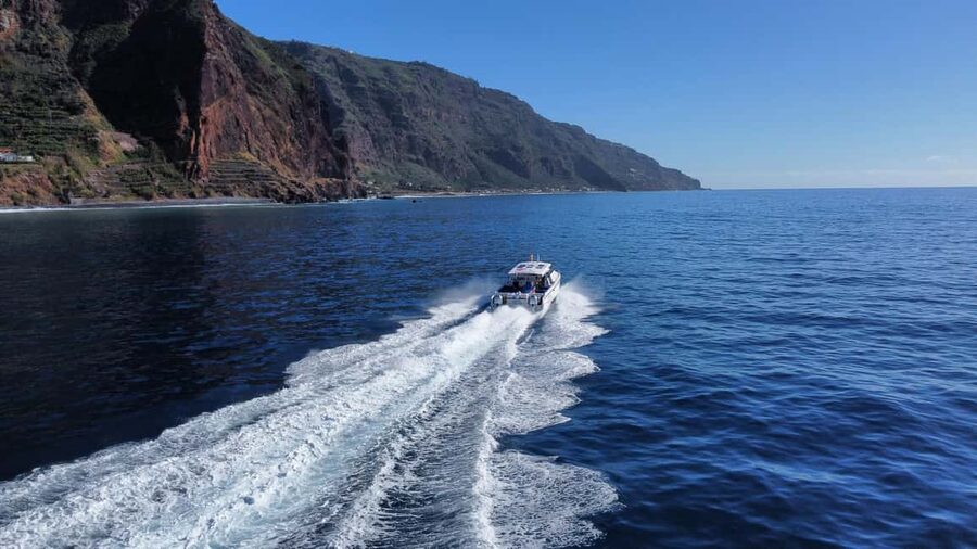 From Funchal: Scenic Coastal Cruise on a Modern Catamaran - Who will enjoy this cruise most?