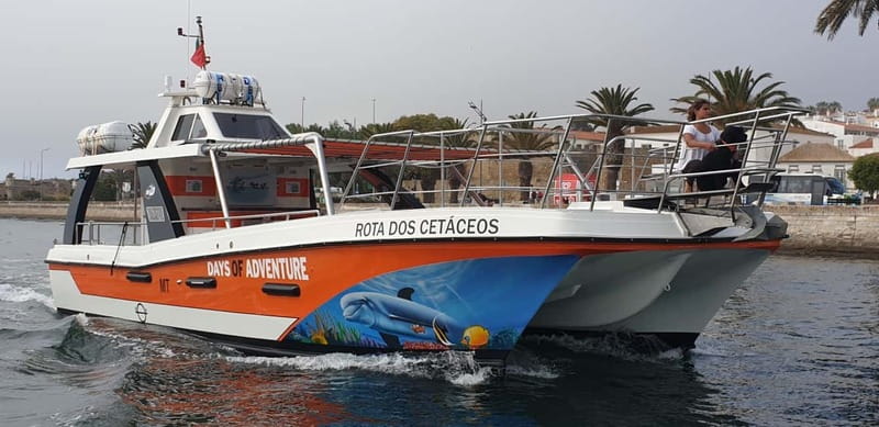 From Lagos: Benagil Caves Catamaran Cruise - Should you book it?