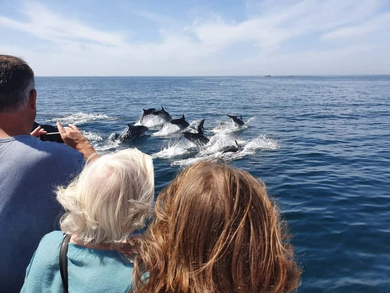 From Lagos: Dolphin Watching Catamaran Cruise - Family Comfort and Safety Afloat