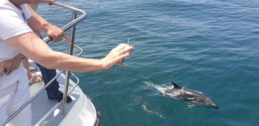 From Lagos: Dolphin Watching Catamaran Cruise - Who Will Enjoy This Cruise Most