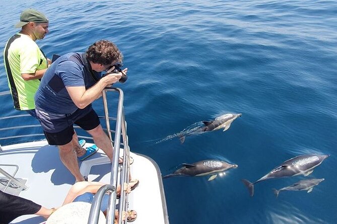 From Lagos: Dolphin Watching Cruise on a Catamaran - What happens after the dolphins