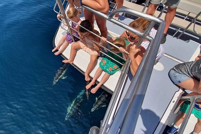 From Lagos: Dolphin Watching Cruise on a Catamaran - Sea conditions are the real variable