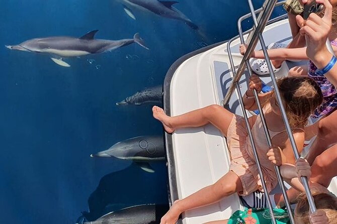 From Lagos: Dolphin Watching Cruise on a Catamaran - Choosing your place onboard