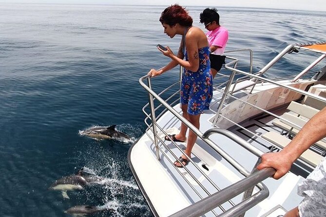 From Lagos: Dolphin Watching Cruise on a Catamaran - Who will enjoy this Lagos cruise?