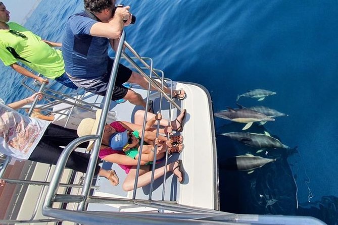 From Lagos: Dolphin Watching Cruise on a Catamaran - Booking, cancellations, and practical details