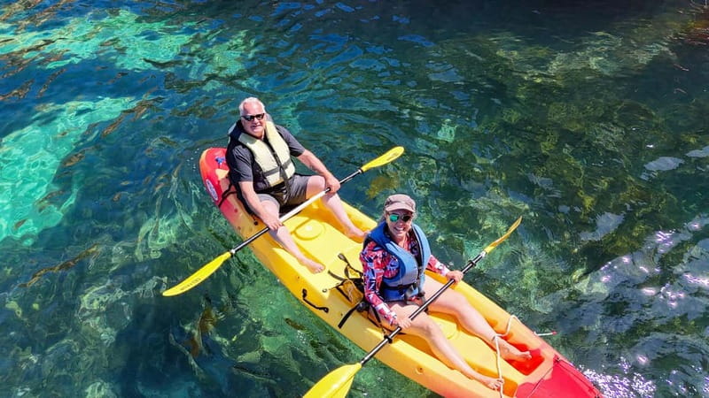 From Lagos: Ponta da Piedade Caves Kayak Tour from Catamaran - Paddling through arches, grottoes, and narrow passages