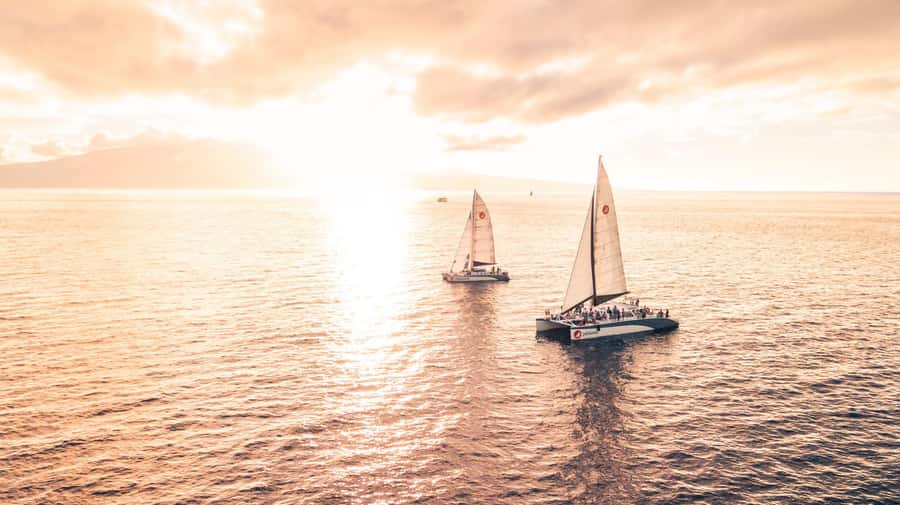 From Ma'alaea: 'Alihilani Sunset Sail Catamaran Tour - Wildlife and whale season