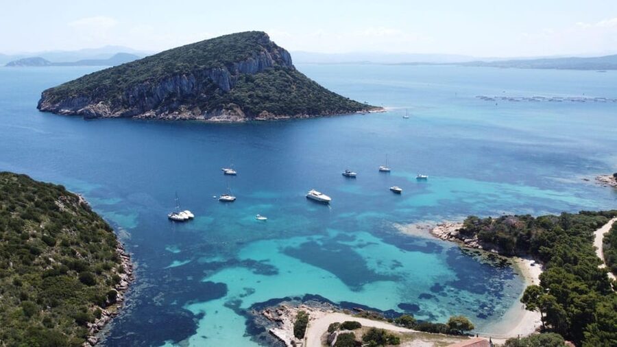 From Olbia: Tavolara or Cala Moresca Catamaran Tour - A Sardinian aperitif before lunch