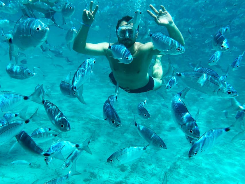 From Palau: La Maddalena Archipelago Catamaran Tour w/ Lunch - The three island stops and what makes them special